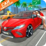 Car Simulator Japan
