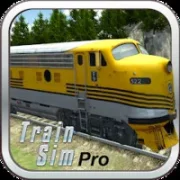 Train Sim Pro {ВЗЛОМ: полная версия}