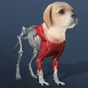 Idle Pet - Create cell by cell {ВЗЛОМ: все персонажи разблокированы \ бесплатные покупки}