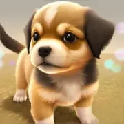 Dog Town: зоомагазин, уход и игры с собаками