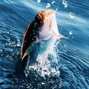 Real Fishing Pro 3D {ВЗЛОМ: много денег}