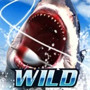 Wild Fishing Simulator {ВЗЛОМ: Много денег}