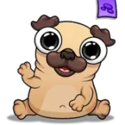 Pug - My Virtual Pet Dog